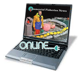 CFN-online