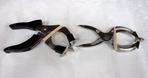 Traditional banding tool, right, and the redesigned version, which features an angled shape to reduce wrist “flexion,” the bending down of the wrist, when picking up a band.  (Ann Backus photo)