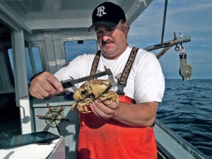 Rhode Island fisherman Brian Thibeault measures the carapace of a Jonah crab for the CFRF On-Deck Data Program. (CFRF photo)