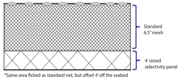 The drawing shows the raised gillnet modification, which allows fish like cod to escape capture beneath the standard 6.5" mesh. The 4’ raised gillnet seemed to hit the sweet spot for a gillnet modification whose time may have arrived. (UNH/Sea Grant graphic)