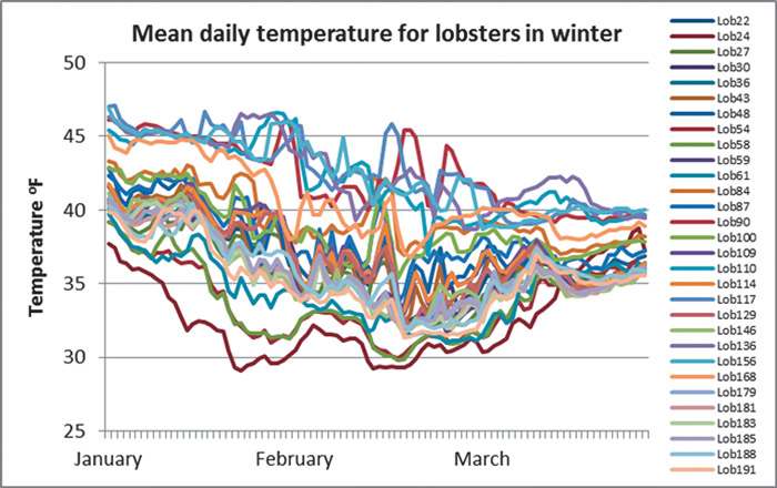 LD2-winter-lobster-temp