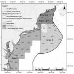Atlantic herring midwater and bottom trawl fishing would be allowed to continue in the offshore statistical areas of the Southern New England/Mid-Atlantic area (blank areas on chart) after the river herring/shad catch cap is reached  triggering an area closure.