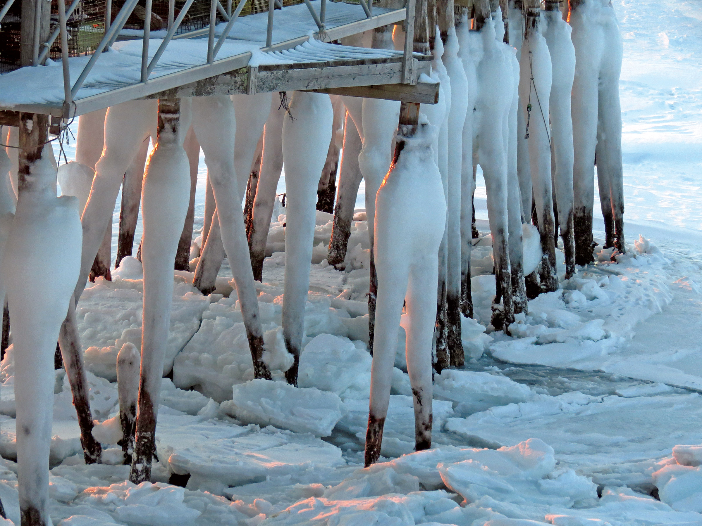 After a while the formations of ice on the pilings of TLC wharf began to look to me like human legs wearing white long-johns.  (Diane Cowan photo)
