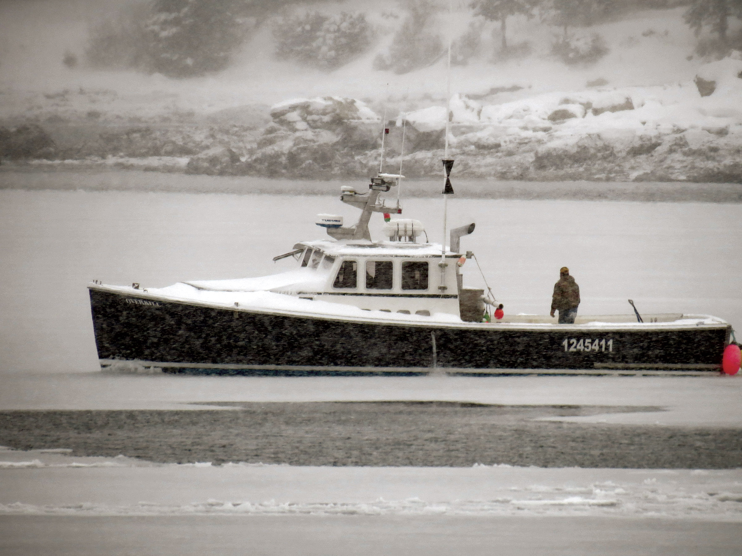 Jimmy Wotton aboard his lobster boat Overkill out in a snowstorm breaking ice.  Friendship fishermen tried in vain to keep the harbor and surrounding bay open.  I took this shot through the window looking out over my desk. (Diane Cowan photo)