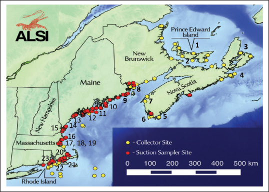 The following is this year’s “Update 2015 to the American Lobster Settlement Index,” prepared and presented here by Rick Wahle and his colleagues at the University of Maine’s Darling Center. Our thanks to Dr. Wahle and his team for sharing this important information once again this year with our readers. —Editor