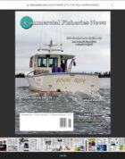 November 2024 – Online Edition