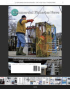 January 2025 – Online Edition