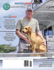 Single Issue – Print Edition